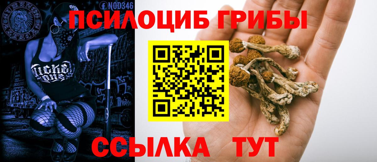 Галлюциногенные грибы Psilocybe  Вход с VPN  Камышин 