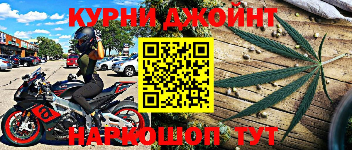 Бошки марихуана планчик  Канабис SATIVA & INDICA  Камышин  Вход с VPN  Каннабис Ganja 